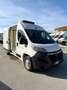 Fiat Ducato 2.2cdti 140cv L2H2 FRIGO ANNO 2023 Bianco - thumbnail 1