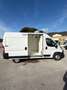 Fiat Ducato 2.2cdti 140cv L2H2 FRIGO ANNO 2023 Bianco - thumbnail 2