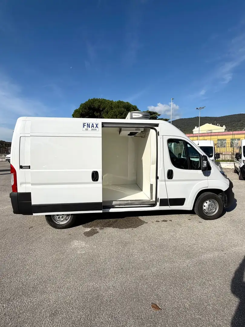 Fiat Ducato 2.2cdti 140cv L2H2 FRIGO ANNO 2023 Bianco - 2