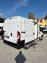 Fiat Ducato 2.2cdti 140cv L2H2 FRIGO ANNO 2023 Bianco - thumbnail 3