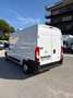 Fiat Ducato 2.2cdti 140cv L2H2 FRIGO ANNO 2023 Bianco - thumbnail 5