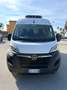 Fiat Ducato 2.2cdti 140cv L2H2 FRIGO ANNO 2023 Bianco - thumbnail 7