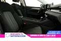 Mazda 6 SEDAN 2.0 SKYACTIVE-G 145cv Zenith Auto 4P # IVA D - thumbnail 19