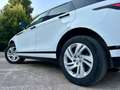 Land Rover Range Rover Evoque R-Dynamic S D 150 Blanc - thumbnail 11