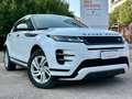 Land Rover Range Rover Evoque R-Dynamic S D 150 Bianco - thumbnail 5