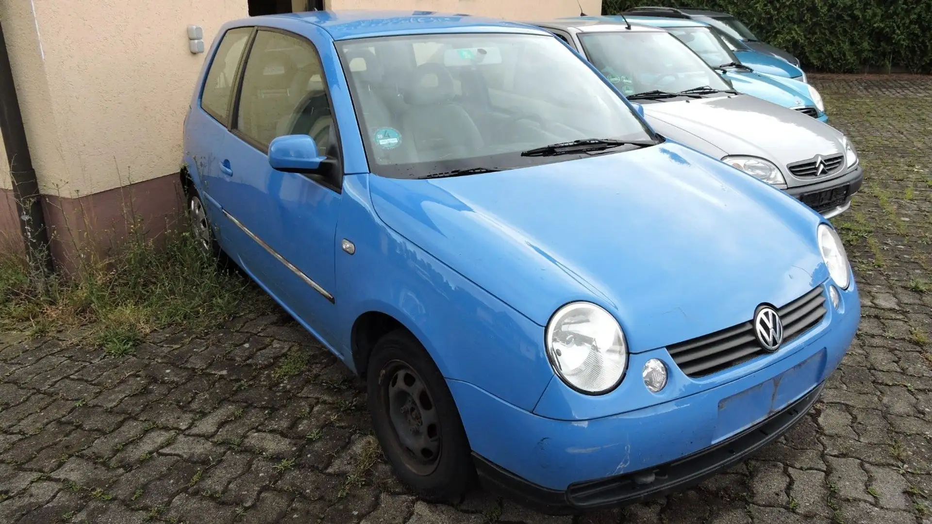 Volkswagen Lupo 1.0 Princeton Bleu - 2