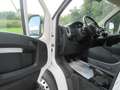 Fiat Ducato 2.3 MJET. 120 CV. L2H2 Weiß - thumbnail 4