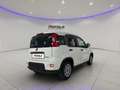 Fiat Panda 1.0 FireFly S&S Hybrid SENZA FINANZIAMENTO Weiß - thumbnail 7