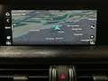 Alfa Romeo Stelvio 2.2 JTDM Business (EURO 6d) Lenkradheizung, Distro Grau - thumbnail 20