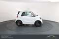 smart forTwo smart fortwo Prime Aut. LEDER*SHZ*BT*PANO Weiß - thumbnail 5