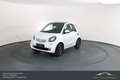 smart forTwo smart fortwo Prime Aut. LEDER*SHZ*BT*PANO Weiß - thumbnail 1
