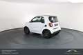 smart forTwo smart fortwo Prime Aut. LEDER*SHZ*BT*PANO Weiß - thumbnail 10