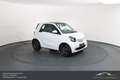 smart forTwo smart fortwo Prime Aut. LEDER*SHZ*BT*PANO Weiß - thumbnail 4
