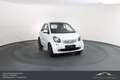 smart forTwo smart fortwo Prime Aut. LEDER*SHZ*BT*PANO Weiß - thumbnail 3