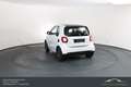 smart forTwo smart fortwo Prime Aut. LEDER*SHZ*BT*PANO Weiß - thumbnail 9