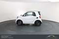 smart forTwo smart fortwo Prime Aut. LEDER*SHZ*BT*PANO Weiß - thumbnail 11