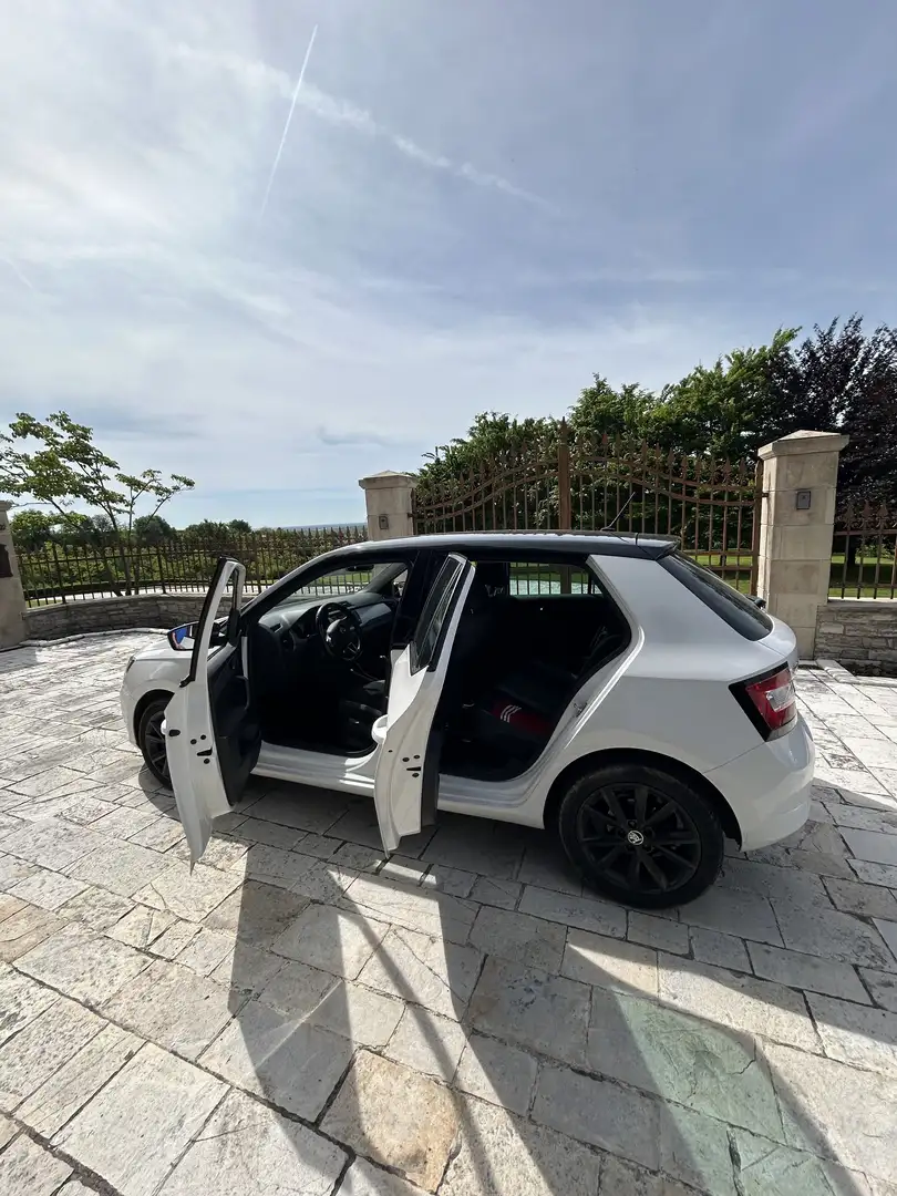 Skoda Fabia 1.4 tdi Style 75cv - 2