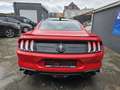 Ford Mustang 2.3 EcoBoost 55 Years Edition | | B&O | NAVI | ... Rouge - thumbnail 5