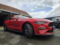 Ford Mustang 2.3 EcoBoost 55 Years Edition | | B&O | NAVI | ... Rouge - thumbnail 3