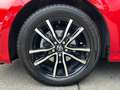 Toyota Yaris Yaris 1.0 5 porte Trend Rouge - thumbnail 10