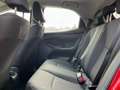 Toyota Yaris Yaris 1.0 5 porte Trend Rouge - thumbnail 20