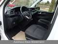 Volkswagen T6 Multivan T6 2.0 TDI DSG Multivan - 2.Hd/98 TKM Weiß - thumbnail 12