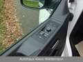 Volkswagen T6 Multivan T6 2.0 TDI DSG Multivan - 2.Hd/98 TKM Weiß - thumbnail 19