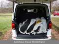 Volkswagen T6 Multivan T6 2.0 TDI DSG Multivan - 2.Hd/98 TKM Weiß - thumbnail 5