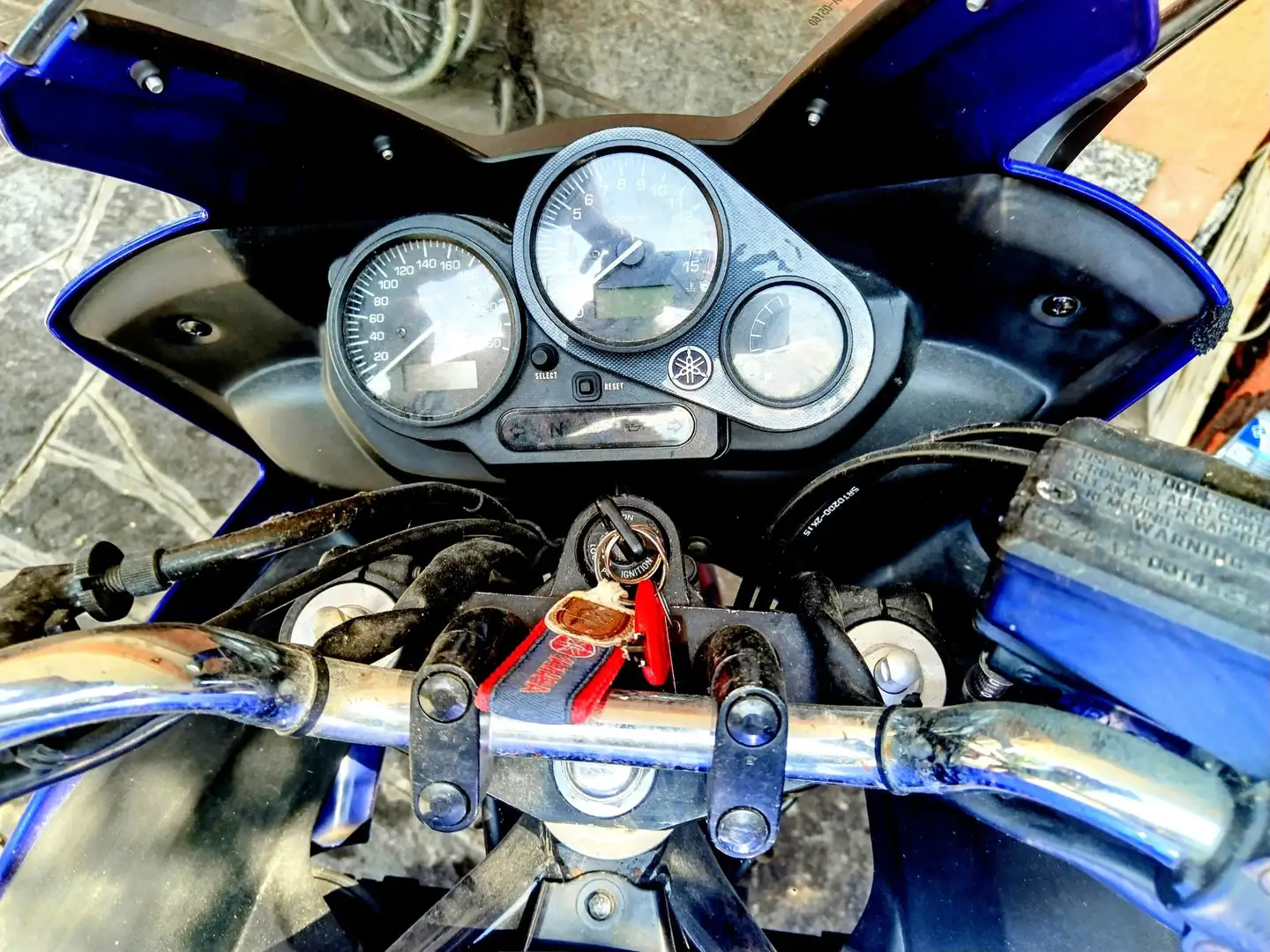 Yamaha FZS 600 Bleu - 1