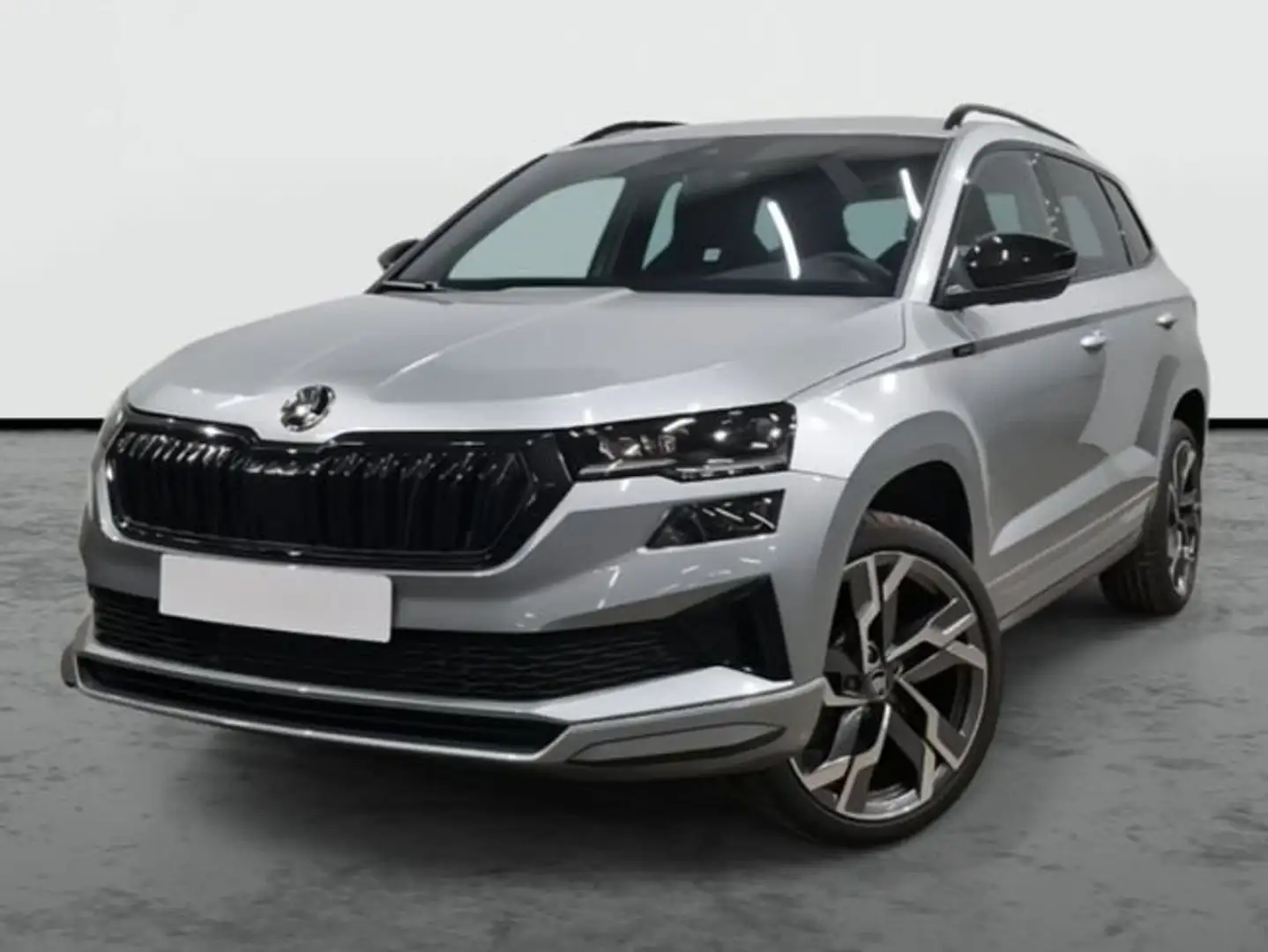 Skoda Karoq Selection Advanced 1.0 TSI 85 kW (116 CV) Manual 6 Plateado - 1