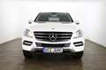 Mercedes-Benz ML 250 4Matic*Sport*Kamera*AHK* Weiß - thumbnail 3