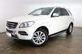 Mercedes-Benz ML 250 4Matic*Sport*Kamera*AHK* Weiß - thumbnail 2