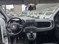 Fiat Panda 1.2 Easy 69cv - Ok Neopatentati - thumbnail 12