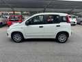 Fiat Panda 1.2 Easy 69cv - Ok Neopatentati - thumbnail 4