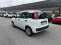 Fiat Panda 1.2 Easy 69cv - Ok Neopatentati - thumbnail 5