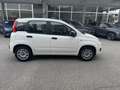 Fiat Panda 1.2 Easy 69cv - Ok Neopatentati - thumbnail 8
