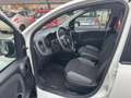 Fiat Panda 1.2 Easy 69cv - Ok Neopatentati - thumbnail 10