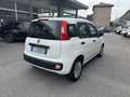 Fiat Panda 1.2 Easy 69cv - Ok Neopatentati - thumbnail 7