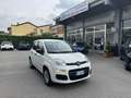 Fiat Panda 1.2 Easy 69cv - Ok Neopatentati - thumbnail 1