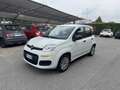 Fiat Panda 1.2 Easy 69cv - Ok Neopatentati - thumbnail 3