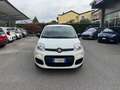 Fiat Panda 1.2 Easy 69cv - Ok Neopatentati - thumbnail 2
