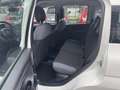 Fiat Panda 1.2 Easy 69cv - Ok Neopatentati - thumbnail 11