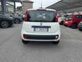 Fiat Panda 1.2 Easy 69cv - Ok Neopatentati - thumbnail 6