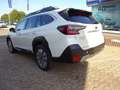 Subaru OUTBACK 2.5i Platinum 2025 Modell Weiß - thumbnail 3