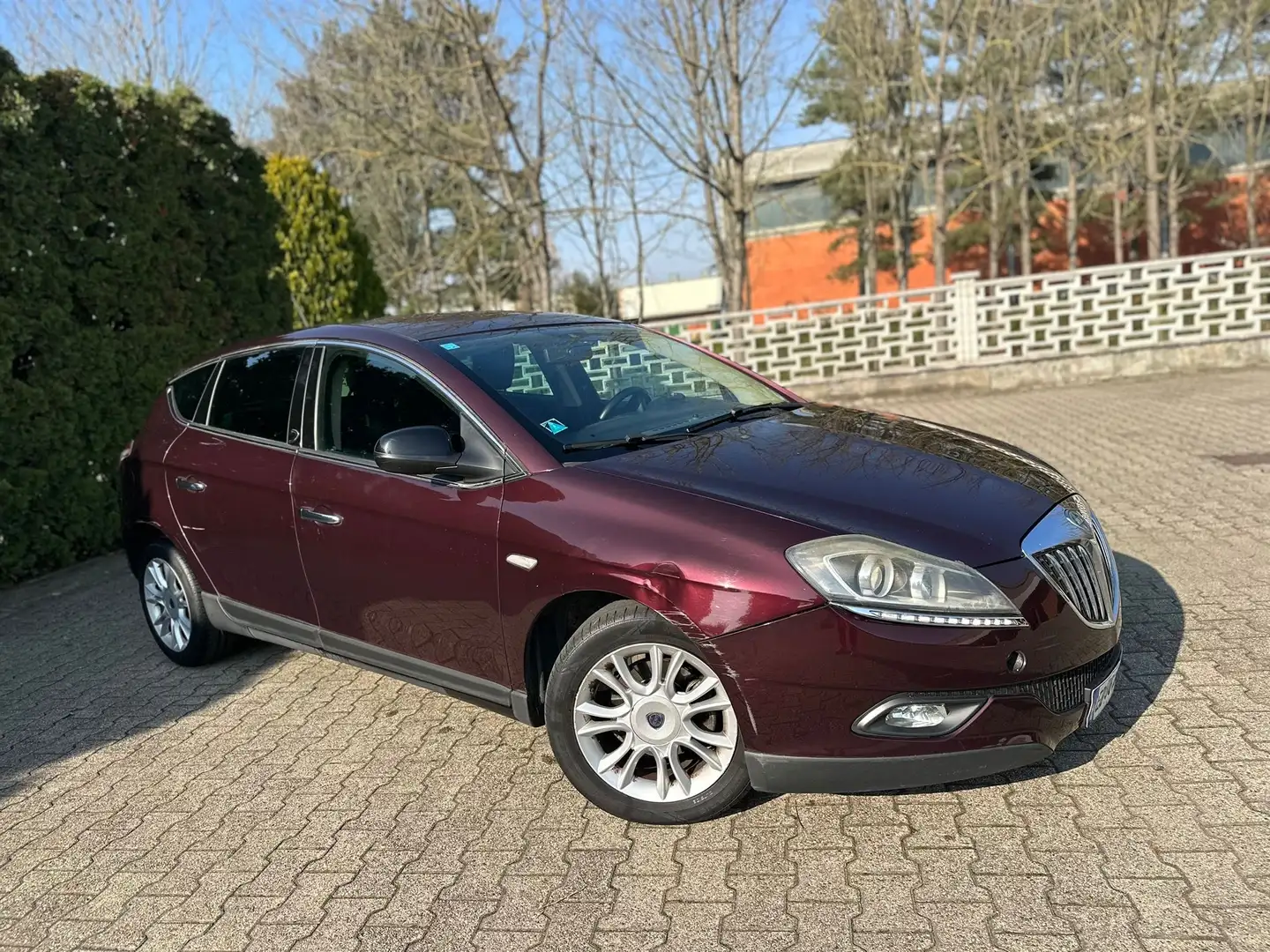 Lancia Delta 1.6 mjt Platino 120cv dpf - 1