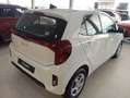 Kia Picanto 1.0 DPi Concept Wit - thumbnail 6