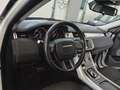 Land Rover Range Rover Evoque Range Rover Evoque 2.0 td4 SE Dynamic 150cv auto Bianco - thumbnail 8