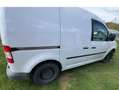 Volkswagen Caddy Caddy Life 2,0 SDI Life Weiß - thumbnail 3