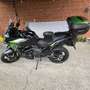 Kawasaki Versys 650 echappement roadsitalia Groen - thumbnail 5