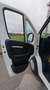 Citroen Jumper 35 2.2 BlueHDi 140 S&S PLM-TA Furgone Bianco - thumbnail 14